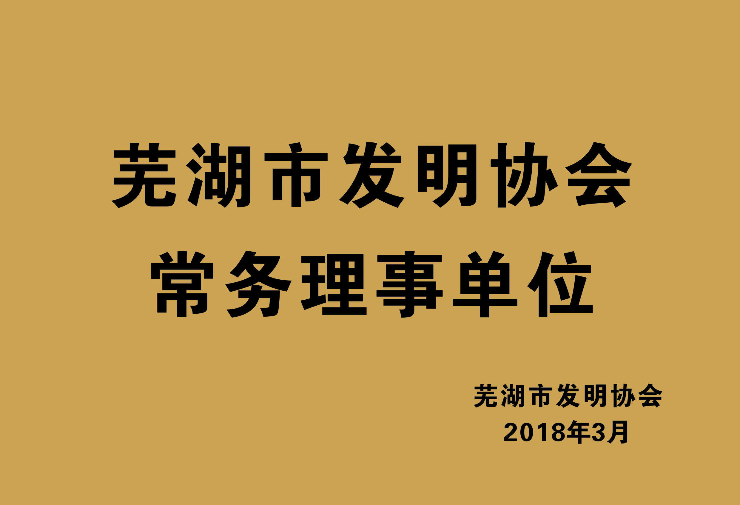 蕪湖市發明協會常務理事單位